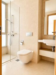 Scotts Highpark (D9), Condominium #596573741